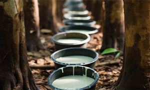 2024年综合酒店的产业链供需布局及发展趋势分析(图3)