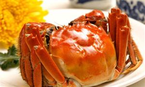 2024年综合酒店的产业链供需布局及发展趋势分析(图5)