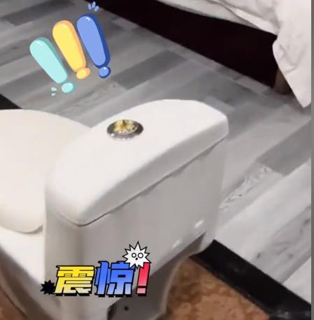 四川成都一酒店房间设计令房客不解网友：这就叫静观其“便”(图1)