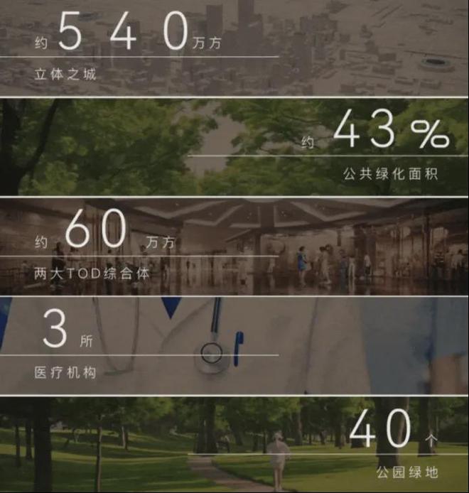 中环金茂府(2024)网站-宝山中环金茂府楼盘详情-户型配套(图26)