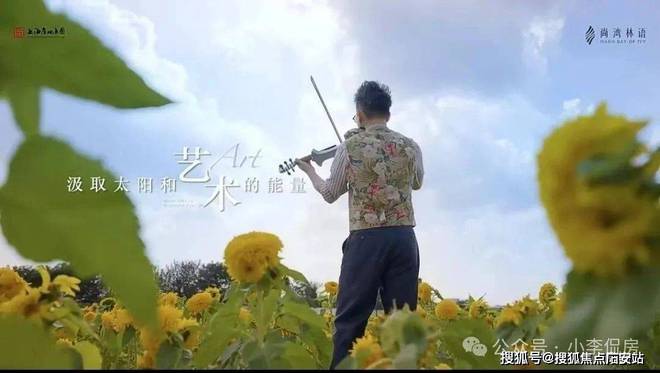 尚湾林语-闵行尚湾林语(售楼处)房价-户型配套-交房时间-停车位(图10)