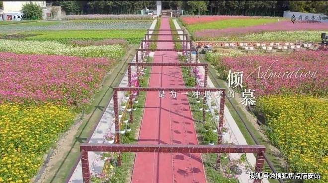 尚湾林语-闵行尚湾林语(售楼处)房价-户型配套-交房时间-停车位(图9)