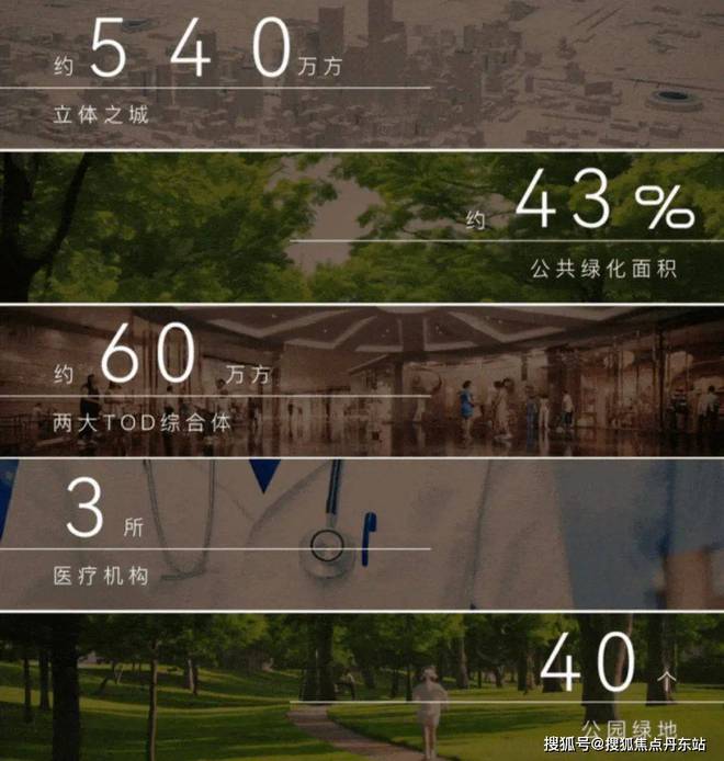 中环金茂府2025网站-中环金茂府彻彻底底火了究竟怎么回事(图31)