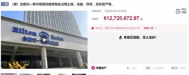 中国最“壕”大酒店被平替捅了一刀(图20)