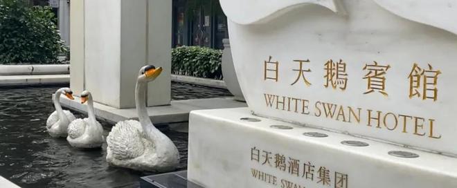中国最“壕”大酒店被平替捅了一刀(图5)