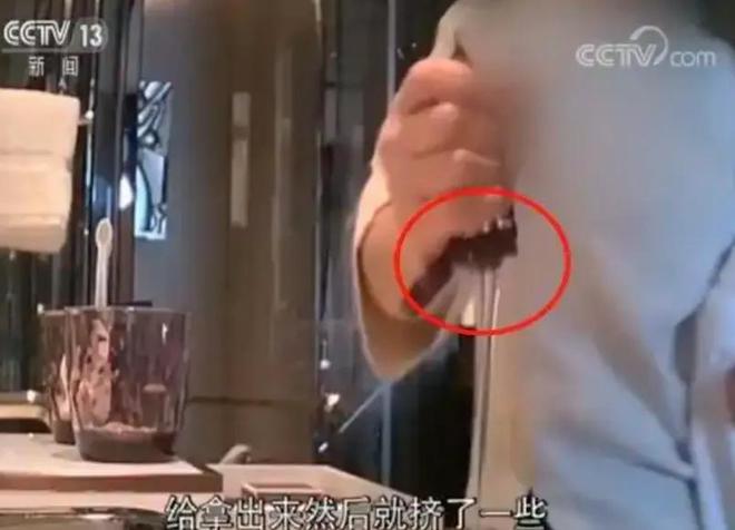 中国最“壕”大酒店被平替捅了一刀(图22)