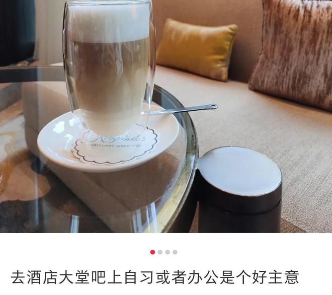 中国最“壕”大酒店被平替捅了一刀(图12)