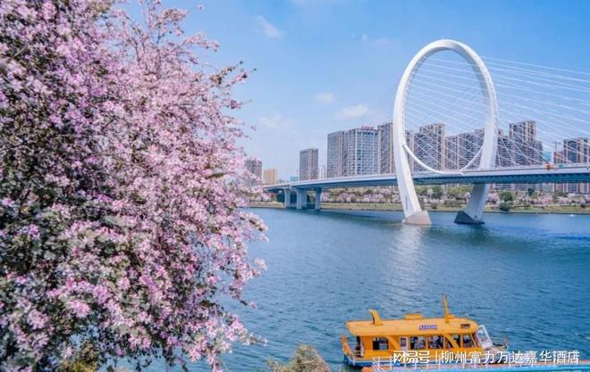 柳州富力万达嘉华酒店春游赏花寻新计划开启(图1)
