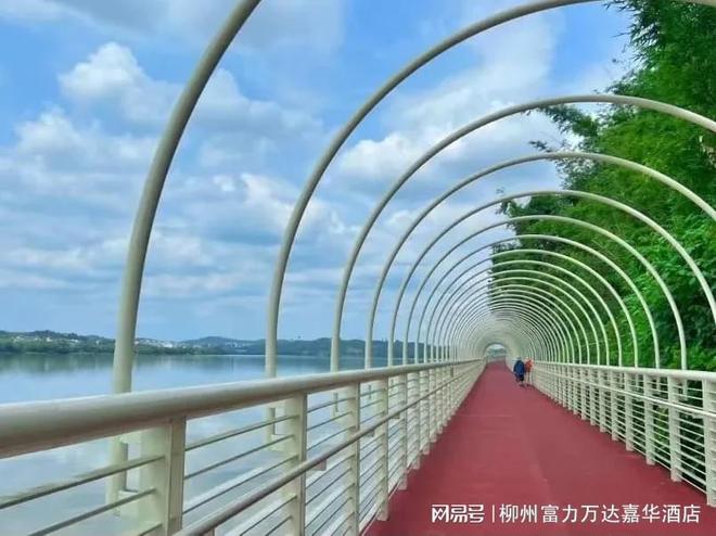 柳州富力万达嘉华酒店春游赏花寻新计划开启(图6)