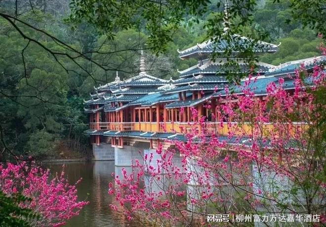 柳州富力万达嘉华酒店春游赏花寻新计划开启(图2)