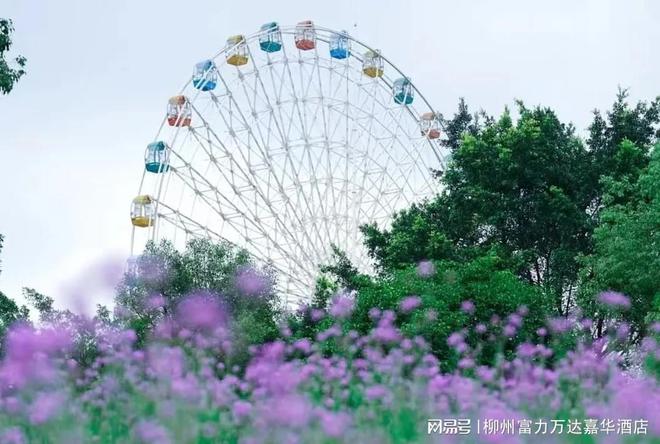 柳州富力万达嘉华酒店春游赏花寻新计划开启(图4)