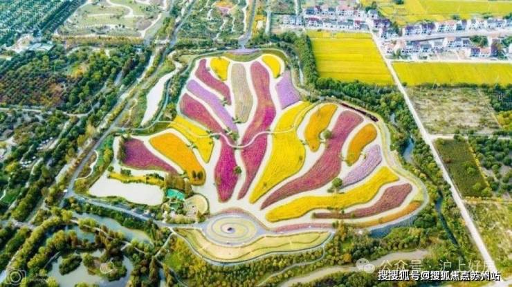 国印东方售楼处发布(国印东方)-2025金山首页网站-楼盘详情价格户型(图22)