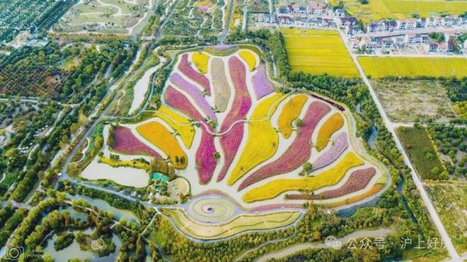 「国印东方」金山红盘！宋风园林+乐高乐园+金山中学｜312万起(图23)