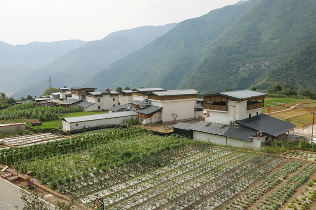 四川省乐山市金口河区：乡村“CEO”领航农旅融合激活乡村振兴“一池春水”(图3)
