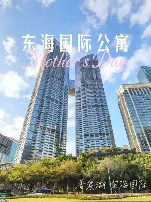 最具投资价值豪宅深圳豪宅市场的标杆-东海国际公寓售楼处电话(图2)
