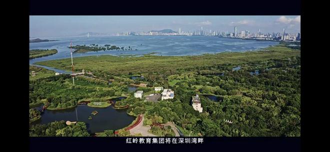 ⚡聚焦ꦿ℘@金地环湾城售楼处发布：环湾城邀请您鉴赏(图17)