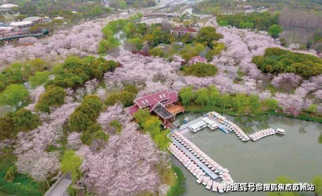 招商时代乐章(招商时代乐章售楼处)首页网站-2025房价_楼盘评测丨地址丨详情丨售楼处电话丨交付时间(图19)