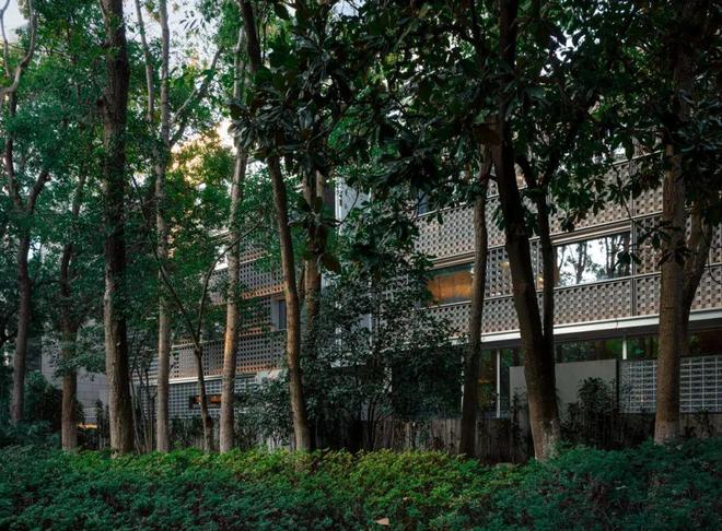 BUZZ庄子玉工作室新作南京鼓楼锦上OCC餐厅(图13)