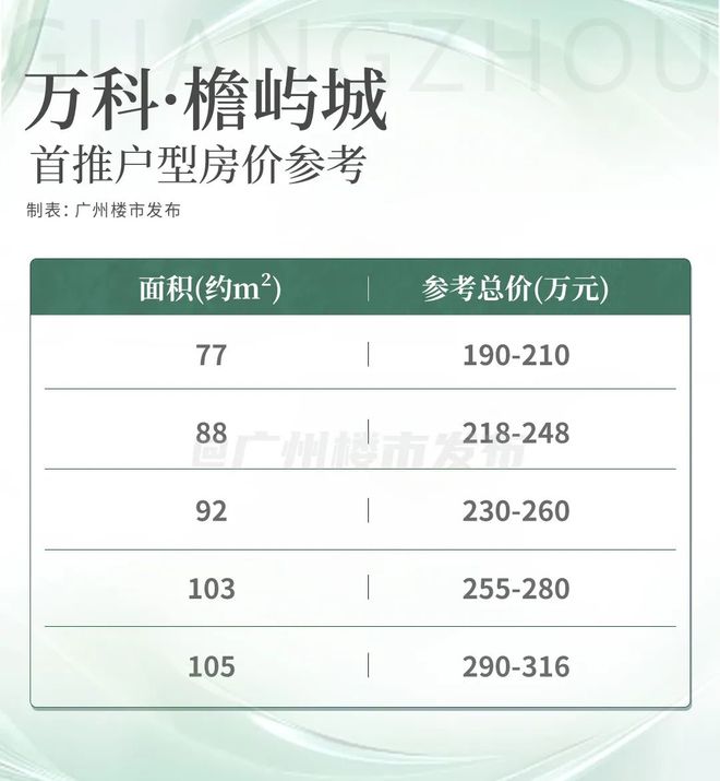 实景开放爆场！万科南站首秀把同行都震住了(图3)