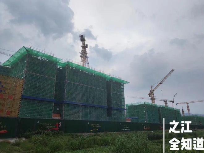 国科大进展迅速双浦TOD在做基础建设、米库汇商业即将招商…双浦新区重点项目最新进展来了！(图3)