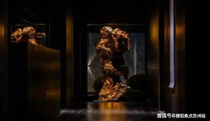 露香园天誉(售楼处)首页网站-黄浦露香园天誉售楼处欢迎您-楼盘详情-户型配套-最新价格-最新资讯-位置(图2)