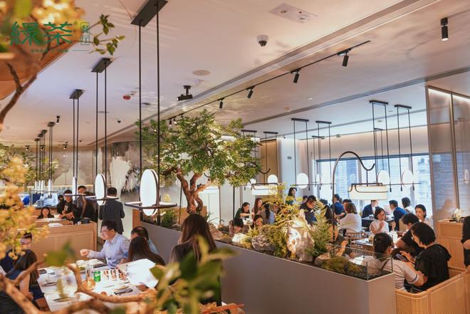 绿茶集团2025年上半年业绩亮眼：解码逆势增长的三大引擎(图1)