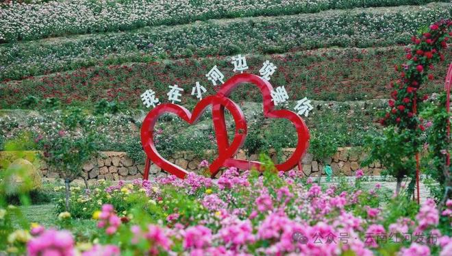 正式发布！弥勒这两个村（社区）上榜(图17)