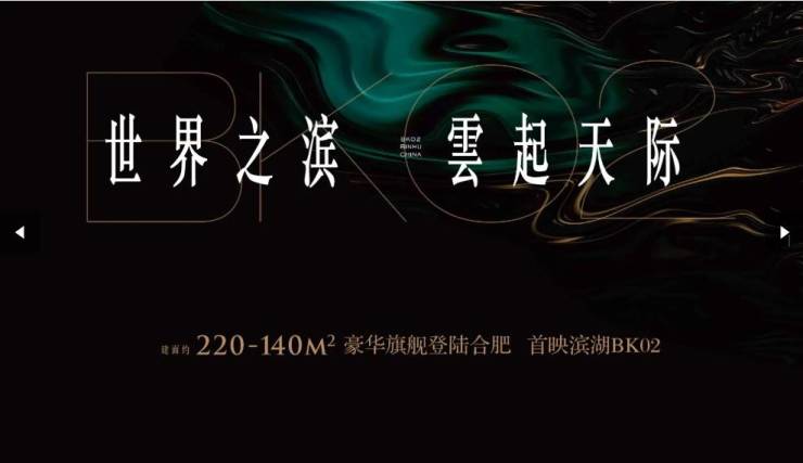 合肥望雲项目售楼处电话百科详情【24H预约热线】实时动态--最新价格-户型图-容积率(图5)