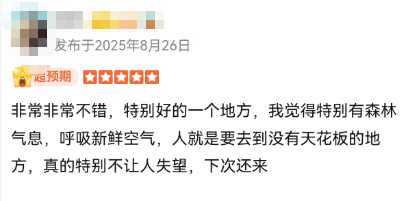 曾红极一时如今悄无声息！江宁热门打卡地还能重现辉煌吗？(图5)