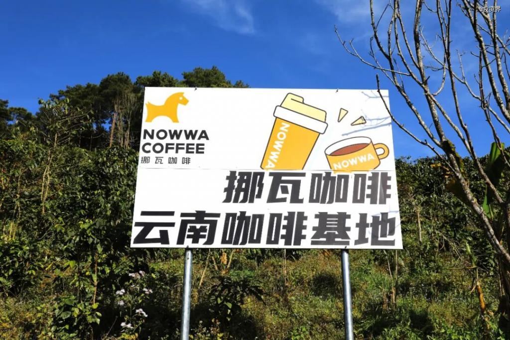 挪瓦咖啡拿下餐饮年度最大融资(图2)