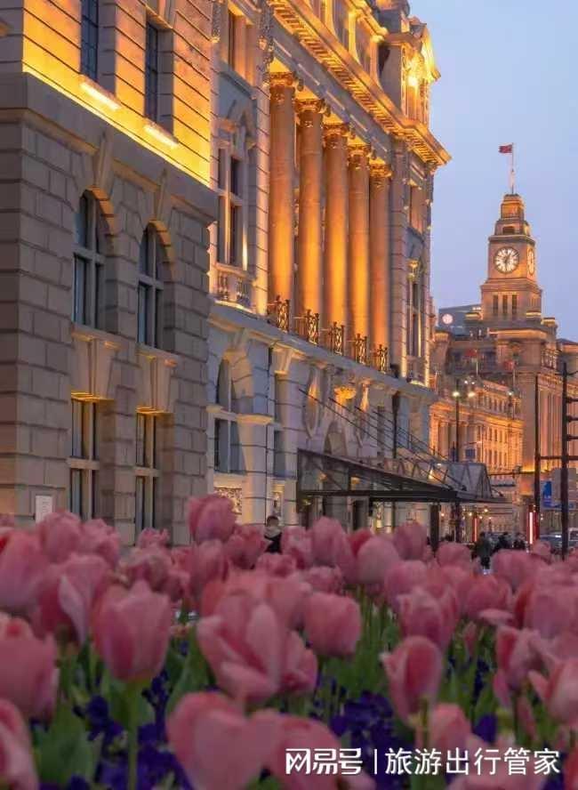 上海靠谱旅行社推荐中港国际热门景点深度游纯玩省心不踩坑(图5)