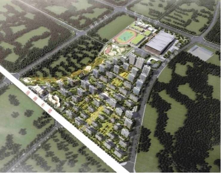 合肥新站区楼盘-楼盘最新发布：户型及配套全解析(图1)