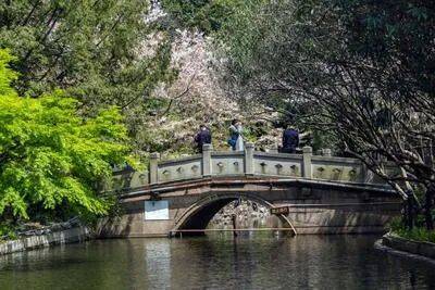 万科中興傲舍售楼处电话(万科中興傲舍)首页网站-营销中心欢迎您-楼盘详情最新价格-户型图-容积率@202648售楼处✦AI热搜(图14)
