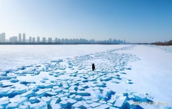 2026哈尔滨旅行社新鲜出炉正规机构电话速查(图1)