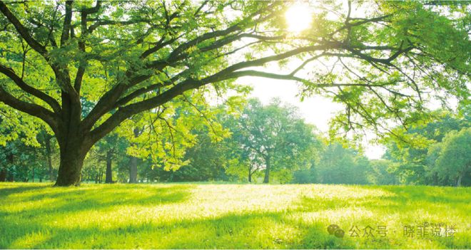 ✦热搜好房｜臣田开元广场售楼处发布以品质铸就传奇(图6)